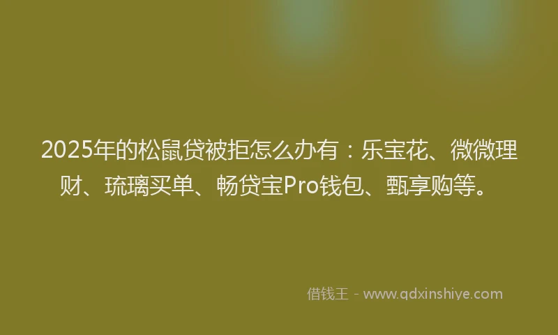 2025年的松鼠贷被拒怎么办有：乐宝花、微微理财、琉璃买单、畅贷宝Pro钱包、甄享购等。