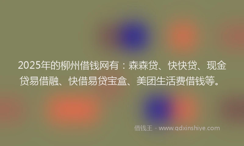 2025年的柳州借钱网有：森森贷、快快贷、现金贷易借融、快借易贷宝盒、美团生活费借钱等。