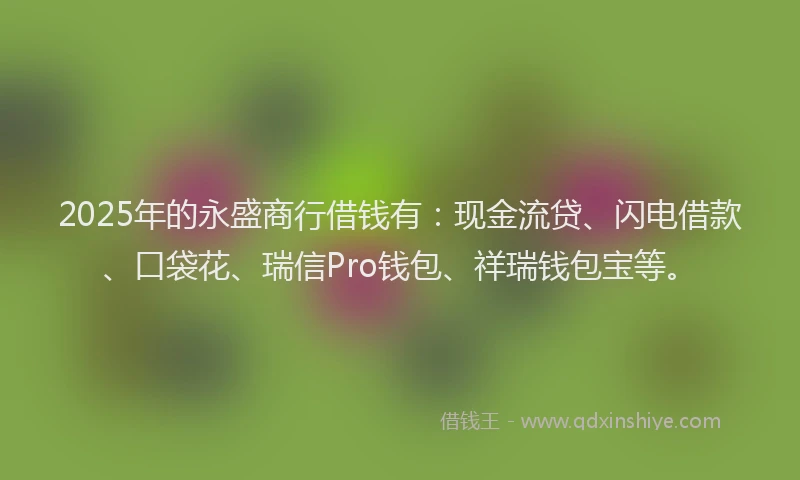 2025年的永盛商行借钱有：现金流贷、闪电借款、口袋花、瑞信Pro钱包、祥瑞钱包宝等。