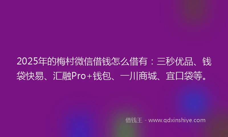 2025年的梅村微信借钱怎么借有：三秒优品、钱袋快易、汇融Pro+钱包、一川商城、宜口袋等。
