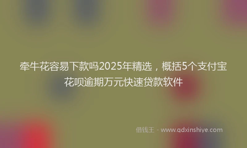 牵牛花容易下款吗2025年精选，概括5个支付宝花呗逾期万元快速贷款软件