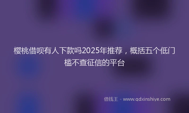 樱桃借呗有人下款吗2025年推荐，概括五个低门槛不查征信的平台
