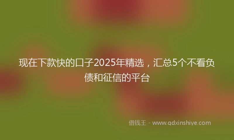 现在下款快的口子2025年精选，汇总5个不看负债和征信的平台