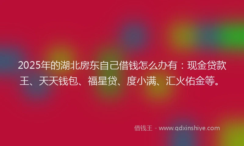 2025年的湖北房东自己借钱怎么办有：现金贷款王、天天钱包、福星贷、度小满、汇火佑金等。