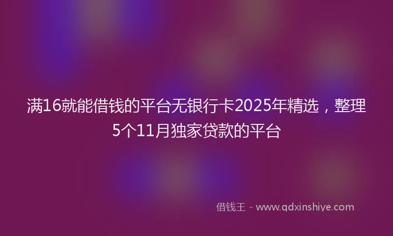 满16就能借钱的平台无银行卡2025年精选，整理5个11月独家贷款的平台