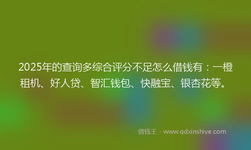 2025年的查询多综合评分不足怎么借钱有：一橙租机、好人贷、智汇钱包、快融宝、银杏花等。