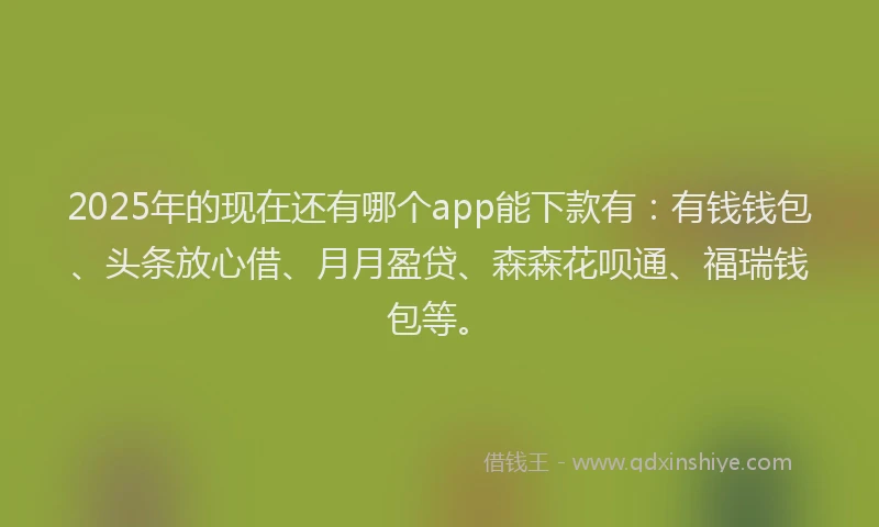 2025年的现在还有哪个app能下款有：有钱钱包、头条放心借、月月盈贷、森森花呗通、福瑞钱包等。