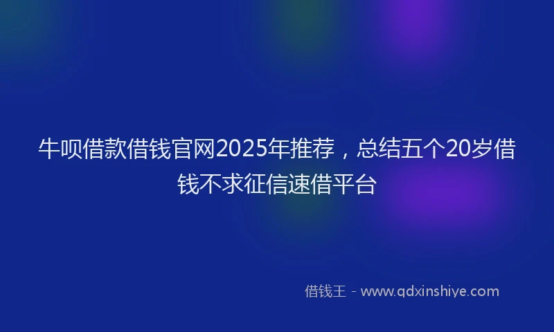 牛呗借款借钱官网2025年推荐，总结五个20岁借钱不求征信速借平台