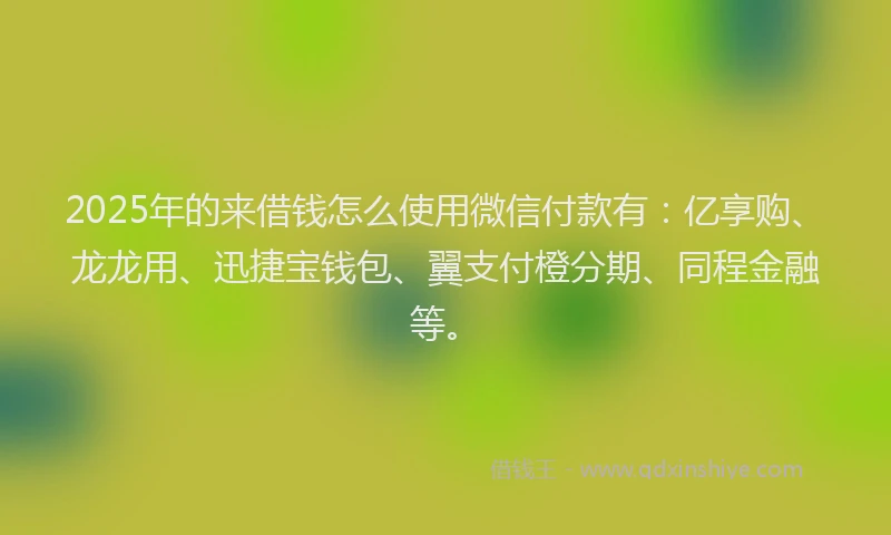 2025年的来借钱怎么使用微信付款有：亿享购、龙龙用、迅捷宝钱包、翼支付橙分期、同程金融等。