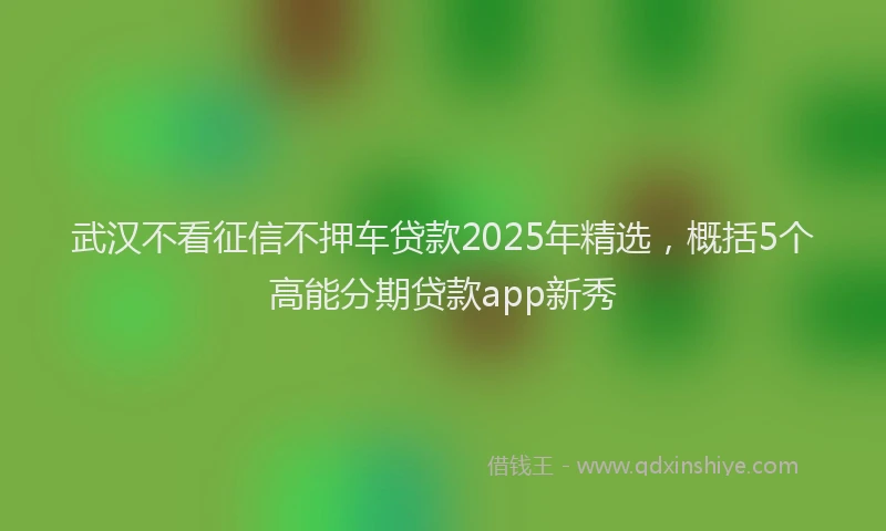 武汉不看征信不押车贷款2025年精选，概括5个高能分期贷款app新秀