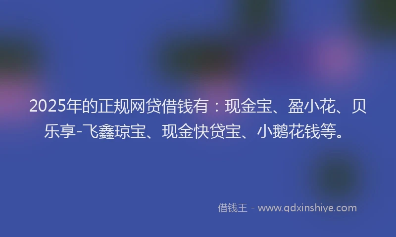 2025年的正规网贷借钱有：现金宝、盈小花、贝乐享-飞鑫琼宝、现金快贷宝、小鹅花钱等。