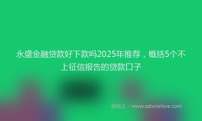 永盛金融贷款好下款吗2025年推荐，概括5个不上征信报告的贷款口子