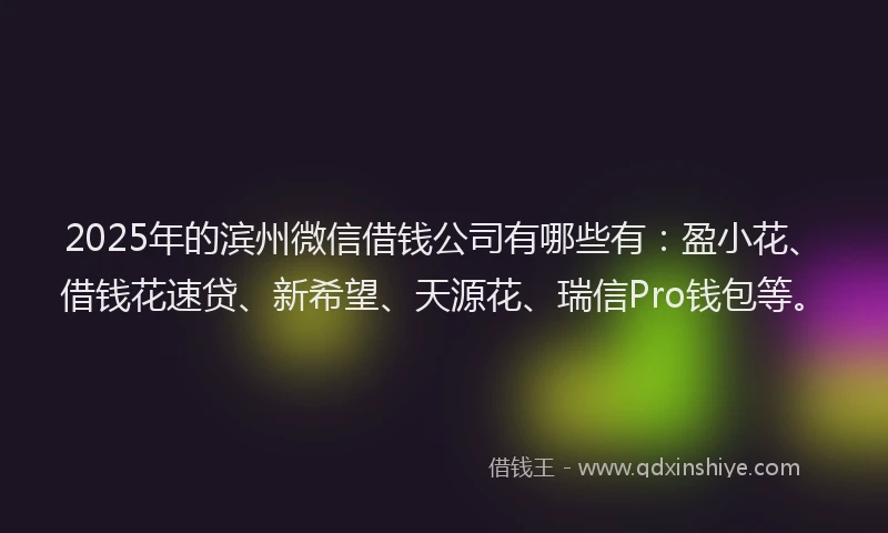 2025年的滨州微信借钱公司有哪些有：盈小花、借钱花速贷、新希望、天源花、瑞信Pro钱包等。