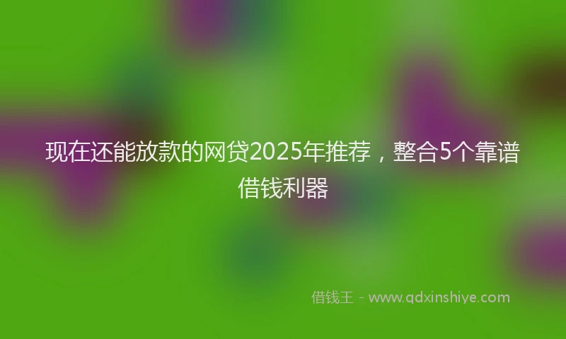 现在还能放款的网贷2025年推荐，整合5个靠谱借钱利器