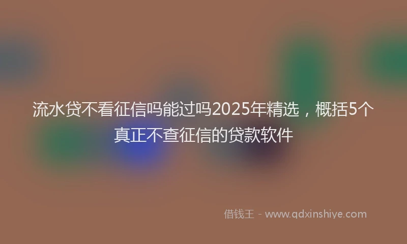 流水贷不看征信吗能过吗2025年精选，概括5个真正不查征信的贷款软件