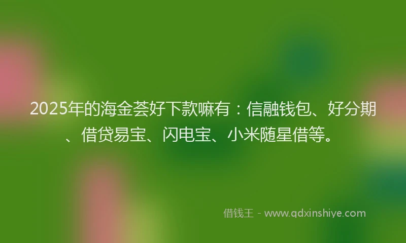 2025年的海金荟好下款嘛有：信融钱包、好分期、借贷易宝、闪电宝、小米随星借等。