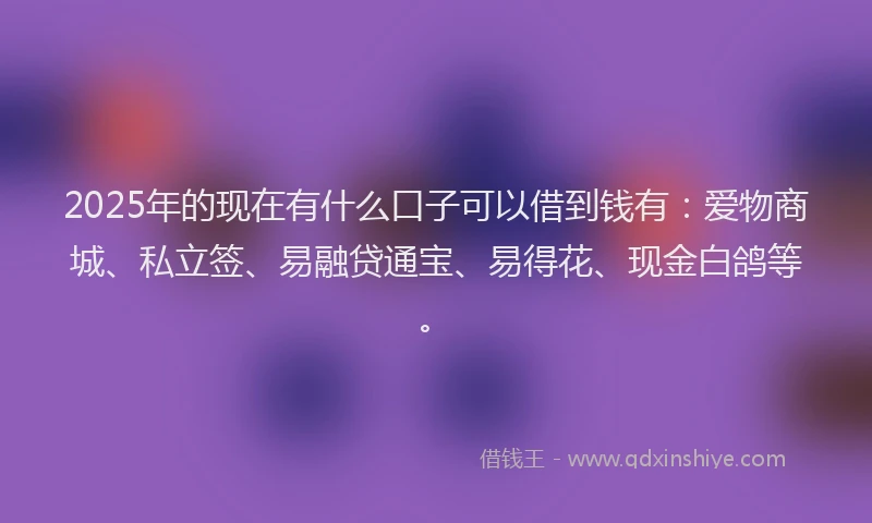 2025年的现在有什么口子可以借到钱有：爱物商城、私立签、易融贷通宝、易得花、现金白鸽等。
