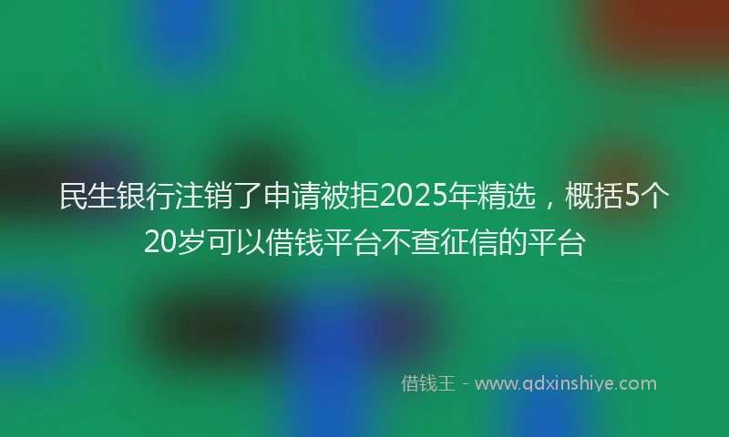 民生银行注销了申请被拒2025年精选，概括5个20岁可以借钱平台不查征信的平台