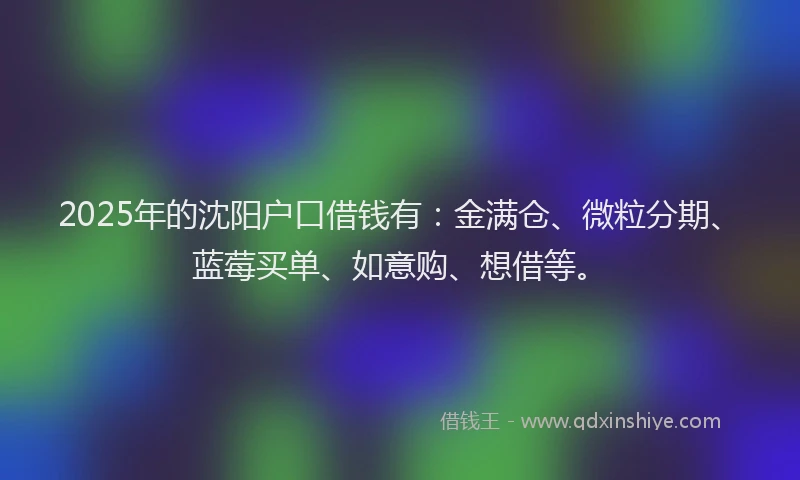 2025年的沈阳户口借钱有：金满仓、微粒分期、蓝莓买单、如意购、想借等。