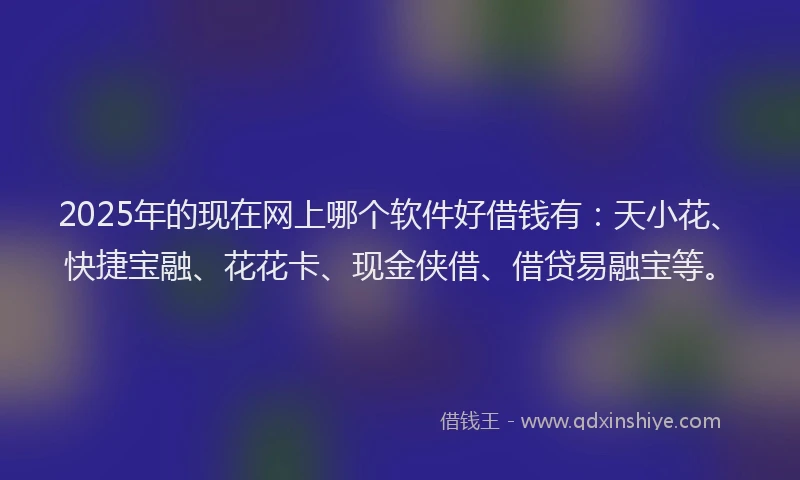 2025年的现在网上哪个软件好借钱有：天小花、快捷宝融、花花卡、现金侠借、借贷易融宝等。