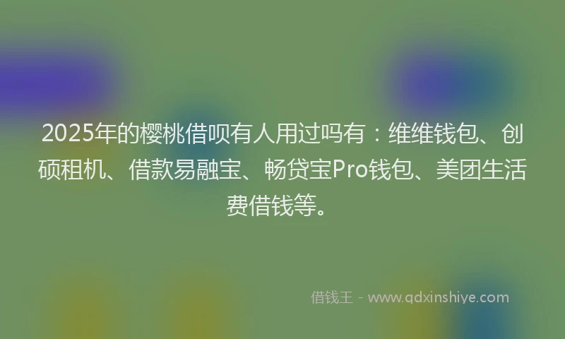 2025年的樱桃借呗有人用过吗有：维维钱包、创硕租机、借款易融宝、畅贷宝Pro钱包、美团生活费借钱等。