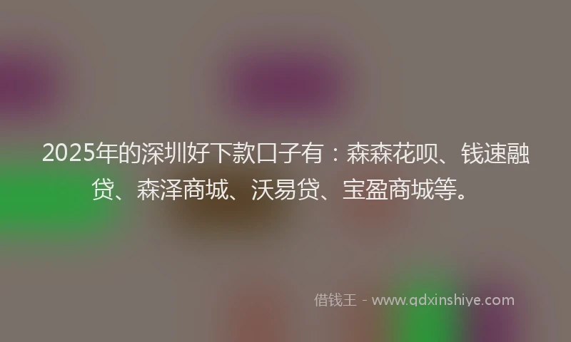 2025年的深圳好下款口子有：森森花呗、钱速融贷、森泽商城、沃易贷、宝盈商城等。