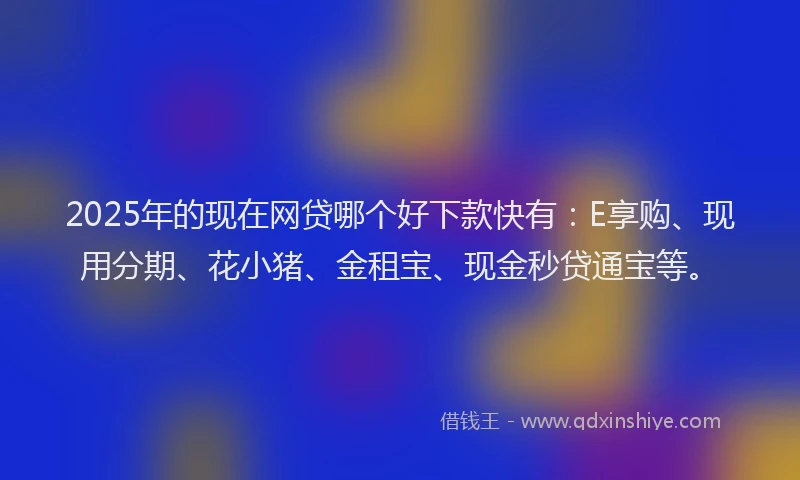 2025年的现在网贷哪个好下款快有：E享购、现用分期、花小猪、金租宝、现金秒贷通宝等。