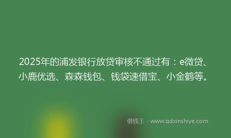 2025年的浦发银行放贷审核不通过有：e微贷、小鹿优选、森森钱包、钱袋速借宝、小金鹤等。
