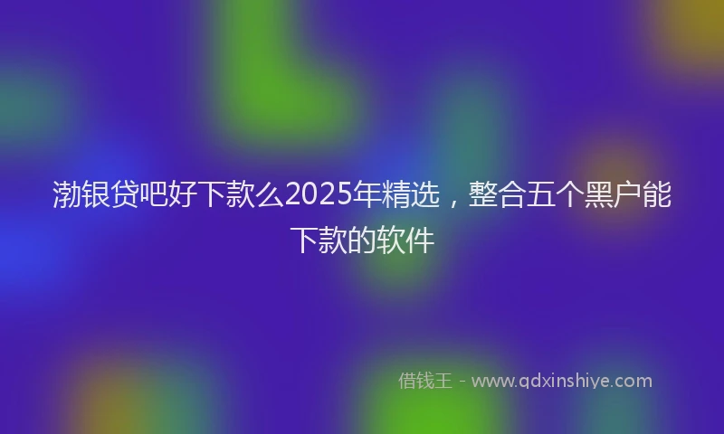 渤银贷吧好下款么2025年精选，整合五个黑户能下款的软件