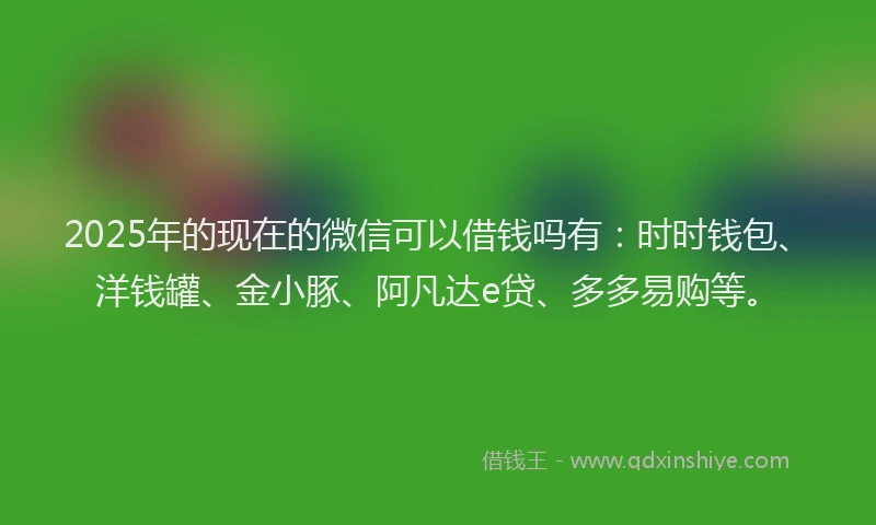 2025年的现在的微信可以借钱吗有：时时钱包、洋钱罐、金小豚、阿凡达e贷、多多易购等。