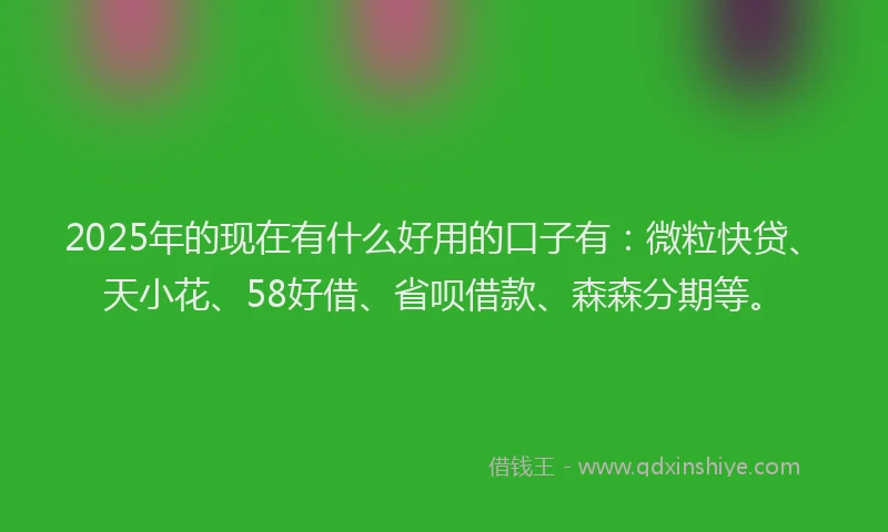 2025年的现在有什么好用的口子有：微粒快贷、天小花、58好借、省呗借款、森森分期等。