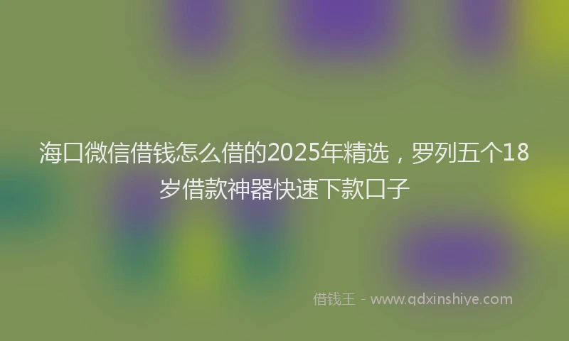 海口微信借钱怎么借的2025年精选，罗列五个18岁借款神器快速下款口子