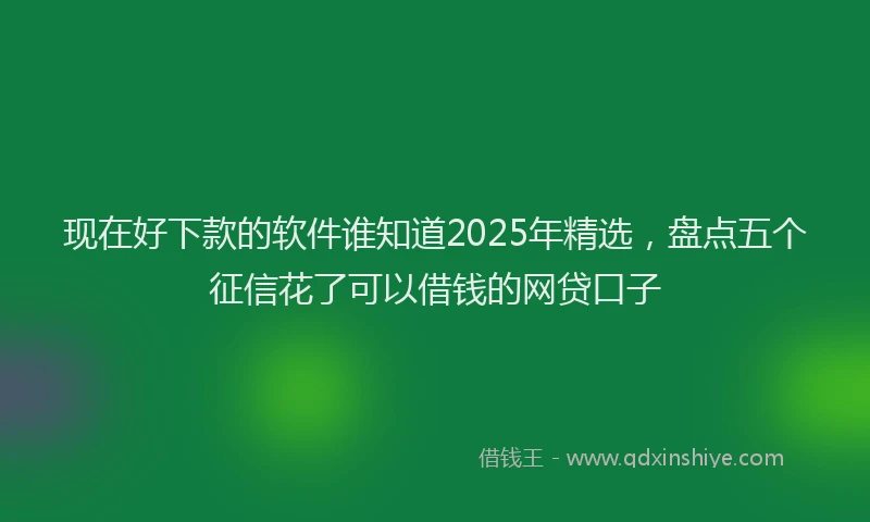 现在好下款的软件谁知道2025年精选，盘点五个征信花了可以借钱的网贷口子