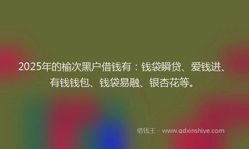2025年的榆次黑户借钱有：钱袋瞬贷、爱钱进、有钱钱包、钱袋易融、银杏花等。