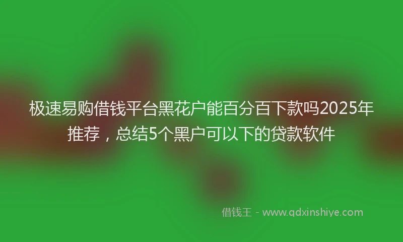 极速易购借钱平台黑花户能百分百下款吗2025年推荐，总结5个黑户可以下的贷款软件