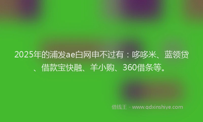 2025年的浦发ae白网申不过有：哆哆米、蓝领贷、借款宝快融、羊小购、360借条等。