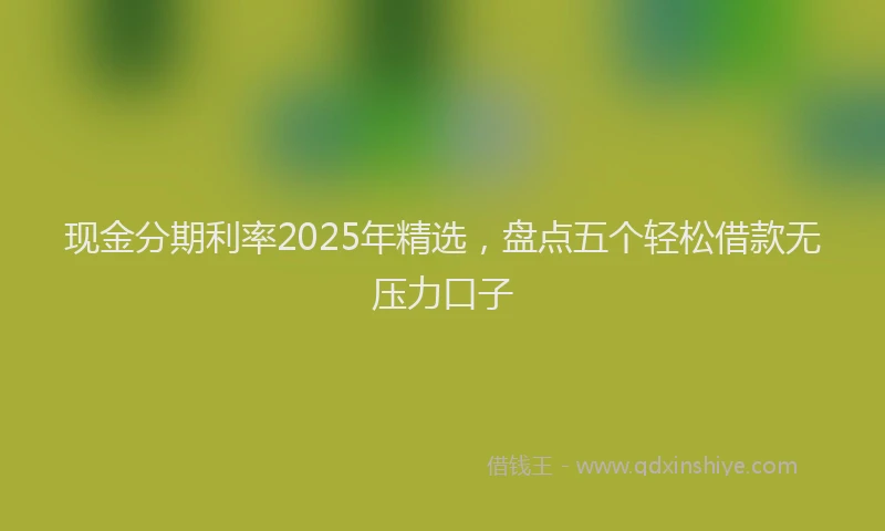 现金分期利率2025年精选，盘点五个轻松借款无压力口子