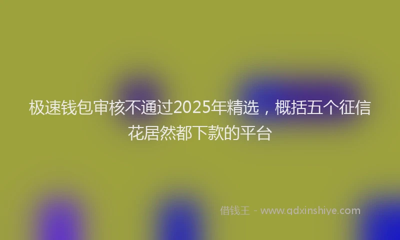 极速钱包审核不通过2025年精选，概括五个征信花居然都下款的平台
