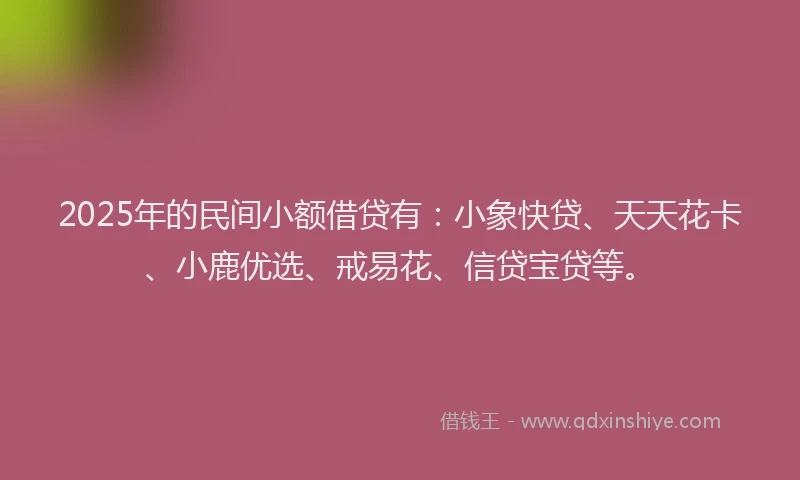 2025年的民间小额借贷有：小象快贷、天天花卡、小鹿优选、戒易花、信贷宝贷等。
