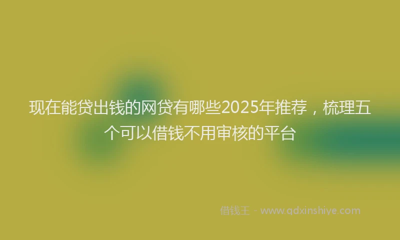 现在能贷出钱的网贷有哪些2025年推荐，梳理五个可以借钱不用审核的平台