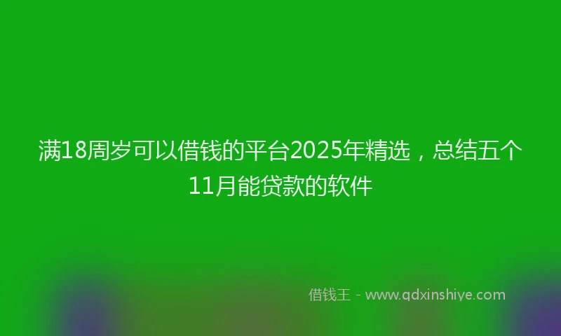 满18周岁可以借钱的平台2025年精选，总结五个11月能贷款的软件