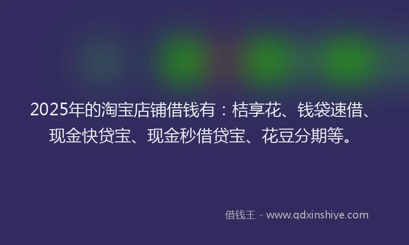 2025年的淘宝店铺借钱有：桔享花、钱袋速借、现金快贷宝、现金秒借贷宝、花豆分期等。