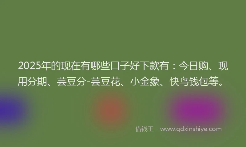 2025年的现在有哪些口子好下款有：今日购、现用分期、芸豆分-芸豆花、小金象、快鸟钱包等。