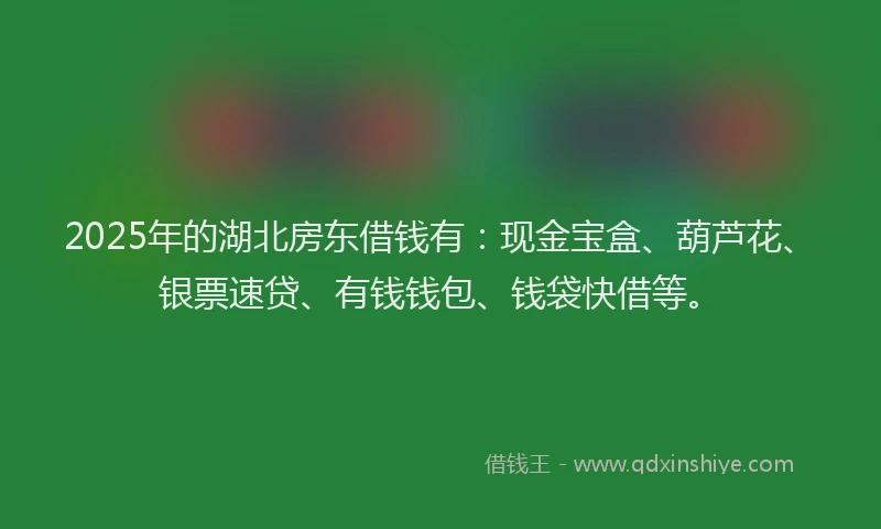 2025年的湖北房东借钱有：现金宝盒、葫芦花、银票速贷、有钱钱包、钱袋快借等。