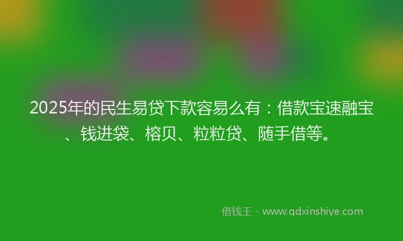 2025年的民生易贷下款容易么有：借款宝速融宝、钱进袋、榕贝、粒粒贷、随手借等。