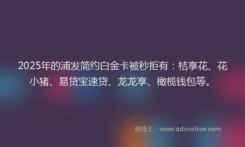 2025年的浦发简约白金卡被秒拒有：桔享花、花小猪、易贷宝速贷、龙龙享、橄榄钱包等。