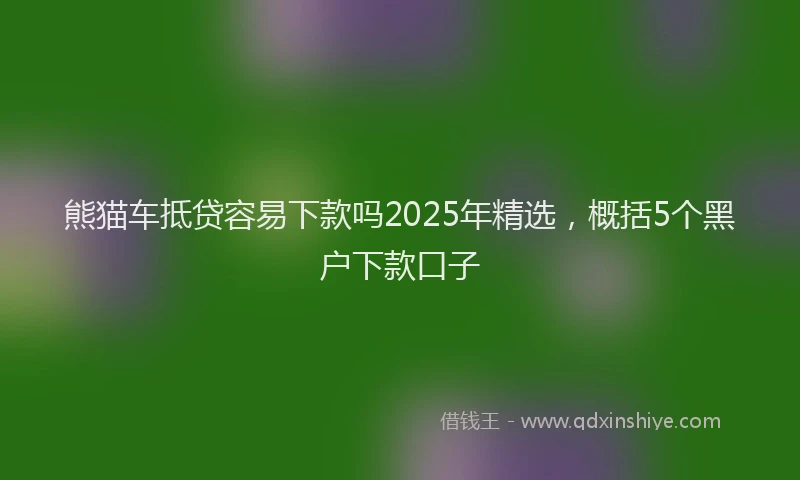 熊猫车抵贷容易下款吗2025年精选，概括5个黑户下款口子