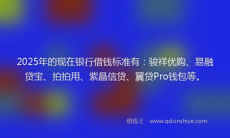 2025年的现在银行借钱标准有：骏祥优购、易融贷宝、拍拍用、紫晶信贷、翼贷Pro钱包等。