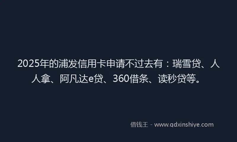 2025年的浦发信用卡申请不过去有：瑞雪贷、人人拿、阿凡达e贷、360借条、读秒贷等。