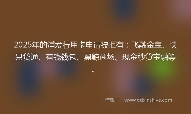 2025年的浦发行用卡申请被拒有：飞融金宝、快易贷通、有钱钱包、黑鲸商场、现金秒贷宝融等。